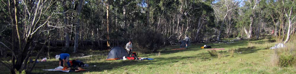 Bush campsite