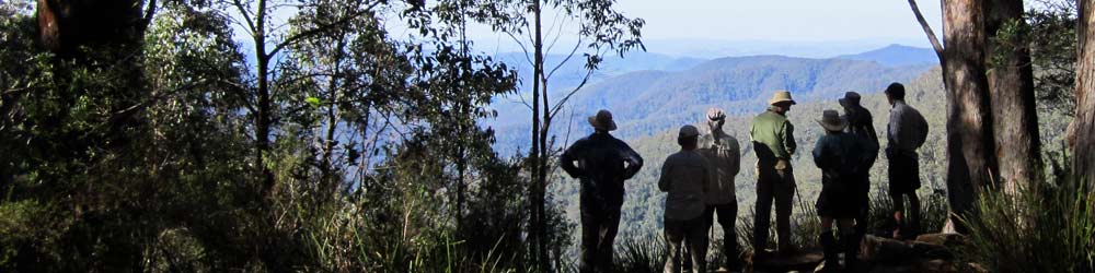 bushwalk