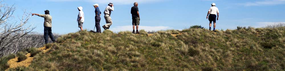 searching for lost bushwalkers