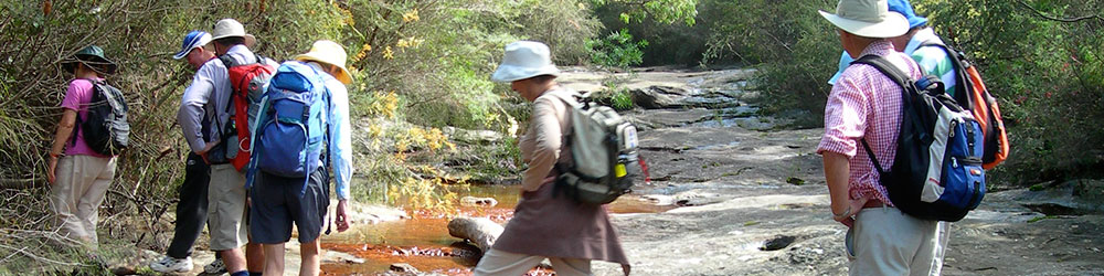 bushwalkers cross a creek