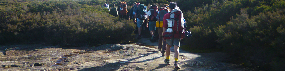 bushwalking nsw blue mountains