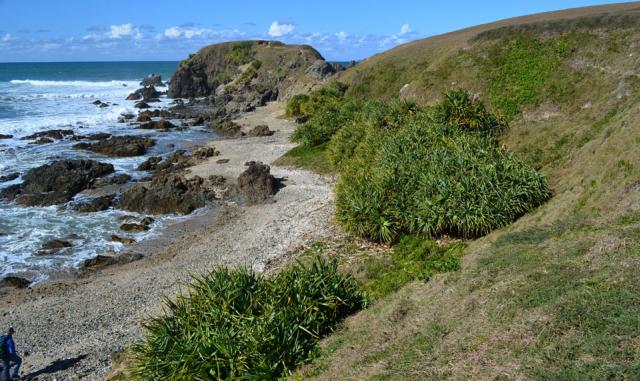 Walking to Look at Me Now Headland - Moonee Beach NR