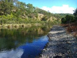 Link to Photo Gallery 2