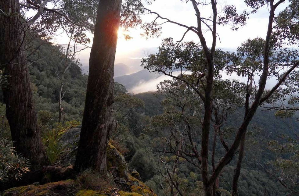 View from Point Lookout at daw