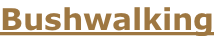Bushwalking