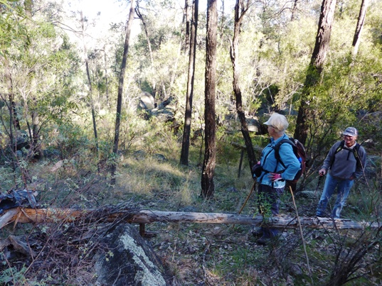 Haven't we been past here before?