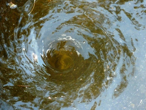 The vortex of death.  Has anyone seen Neta lately?