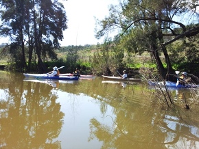 Chaffey Dam