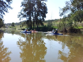 Chaffey Dam