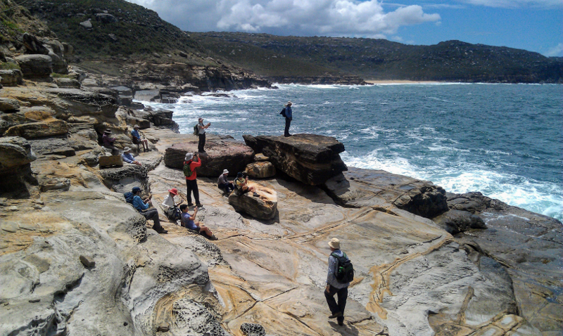 Wanderers bushwalking