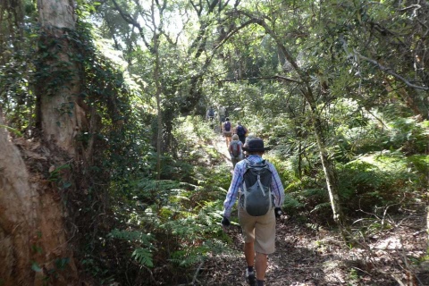 Wanderers Bushwalking