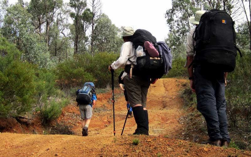 Go on an easy or moderate bushwalk with a group to get started