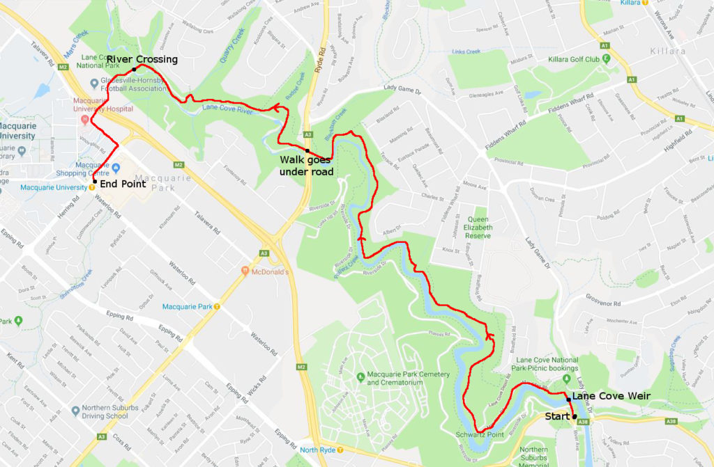 David’s Lane Cove River Minimal Impact Training walks Bushwalking