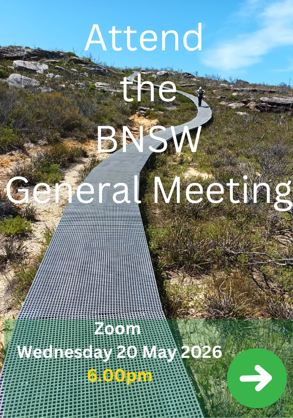 2026 20 May Register for the BNSW