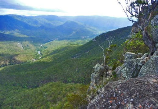 View from Tommy's Lookout - Mann River Nature Reserve