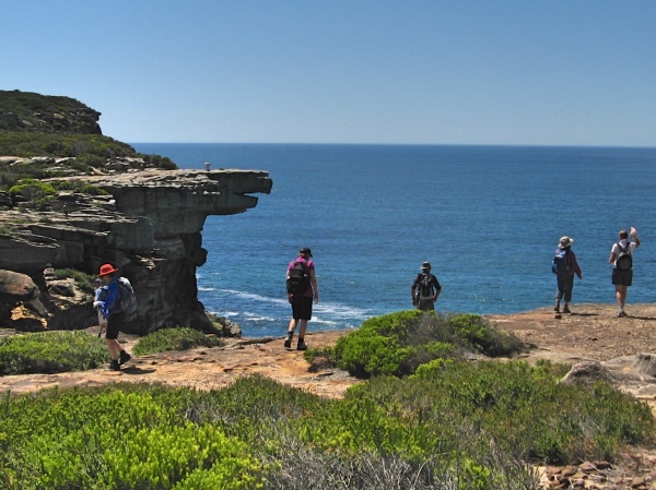 Wanderers Bushwalking
