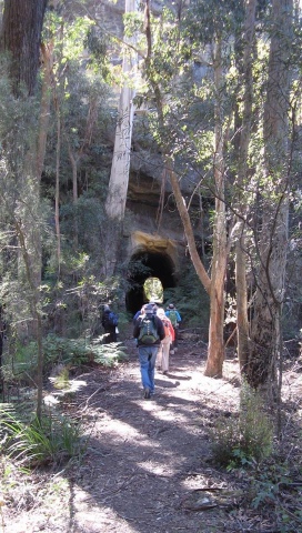 a view seen on a Wanderers walk